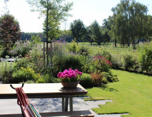 Maak fijne hoekjes in de tuin