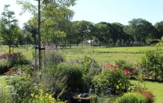 Grote tuin in Berghem