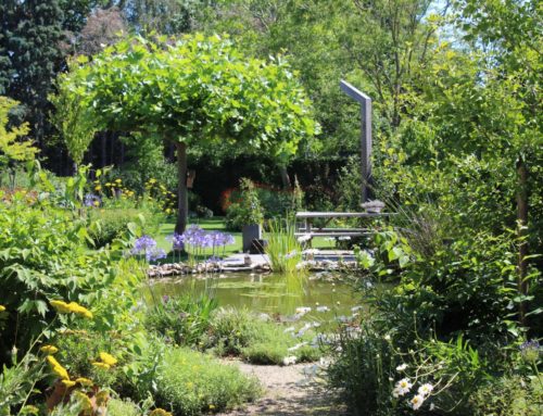 Tuin met water geeft rust