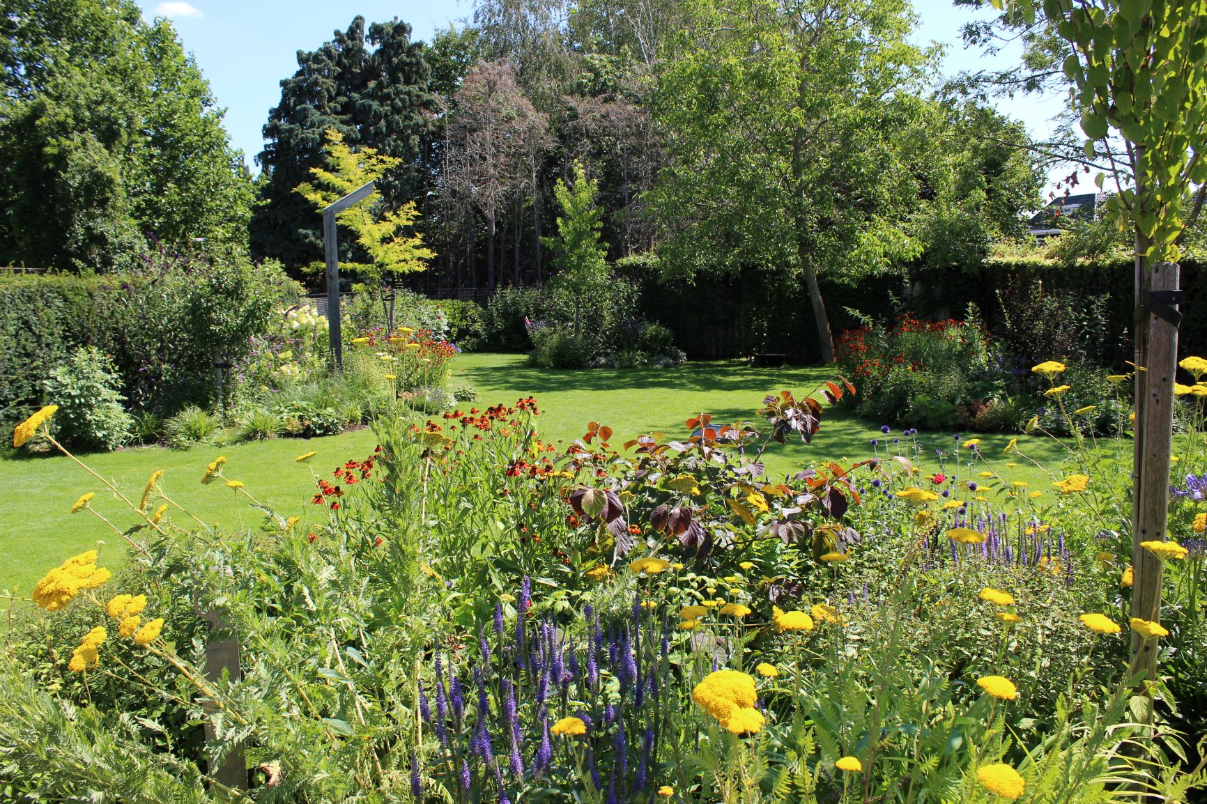 Tuin met water Tuin met water LipsGroen