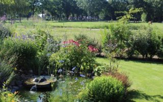 Grote tuin in Berghem 6