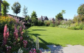 Middelgrote tuin in Oss