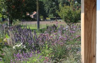 Middelgrote tuin in Volkel