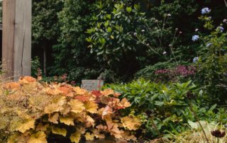 Middelgrote tuin Nistelrode