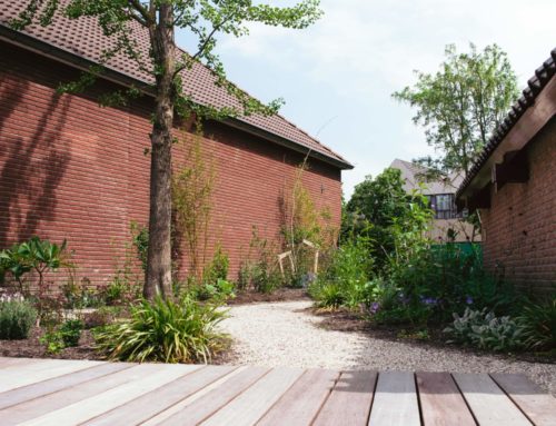 Zwemvijver met plantenfilter heeft een biologische werking