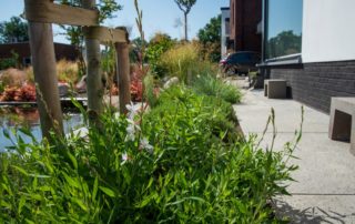 Voortuin planten LipsGroen