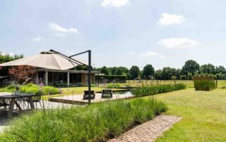 Zwemvijvertuin LipsGroen