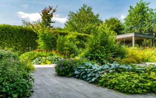 Tuin met veel groene accenten LipsGroen